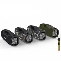 Бездротова акумуляторна колонка Bluetooth BT5.0 караоке бумбокс 55W акустична система з мікрофоном HOPESTAR A6 PRO - мініатюра 6