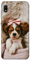 TPU чохол Demsky Sleepy spaniel для Samsung Galaxy A10 (A105F)