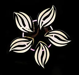 Люстра стельова LED Splendid Ray LK23/5, 120W, чорна/біла, сучасний стиль, з пультом, димер - мініатюра 7