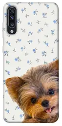 TPU чохол Demsky Cute Yorkie для Samsung Galaxy A70 (A705F)