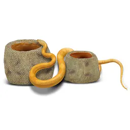 Миска для води Repti-Zoo Snake Water Dish 10x9x6см (ERS15S) - мініатюра 5