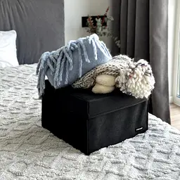 Короб для іграшок та настільних ігор L з кришкою  ORGANIZE  - 30*30*20 см (чорний) - мініатюра 4
