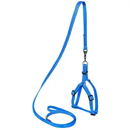Шлея Dog Extreme з нейлону регульована з повідцем (ширина 14мм, В:40-55см) блакитний