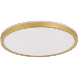 Світильник стельовий Zuma Line 5905316643956 Bove LED 1x50W 3000K/4000K/5500K IP20 золотий