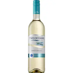 Вино Two Oceans Pinot Grigio біле сухе 12% 0.75 л