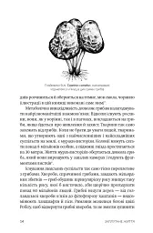 Заплутане життя - Мерлін Шелдрейк - мініатюра 7