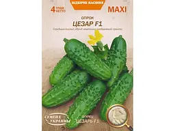 Огірок НАСІННЯ УКРАЇНИ (10 пачок) Максі «ЦЕЗАР F1» 4 г (сс)
