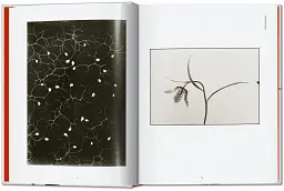Karl Blossfeldt. The Complete Published Work. 40th Edition - Ганс Крістіан Адам - мініатюра 2