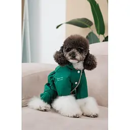 Комбінезон Pet Fashion EGO ХS2 зелений для собак - мініатюра 7