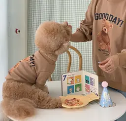 Худі на флісі для собаки Ведмедик 11213 S коричневе - мініатюра 2