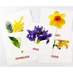 Картки міні Зірка Квіти 11х11 см - мініатюра 2
