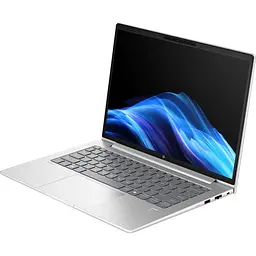 Ноутбук HP 14 ProBook 4 G1a WUXGA IPS/Ryzen 7 250/24GB/1TB/Radeon/DOS (AX6J0AV_V6) - мініатюра 3