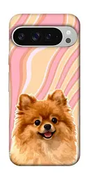 TPU чохол Demsky Pastel spitz для Google Pixel 9 Pro XL