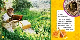 Explore My World: Honey Bees - мініатюра 4