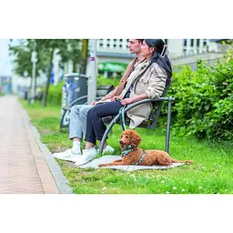 Шлея Trixie CityStyle H-harness для собак бавовна L-XL 75-120 см 25 мм світло-зелений - мініатюра 6