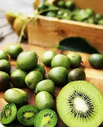 Саджанець Agro-Market Актинідія Асія самозапильна! (Міні-ківі, самоплодовий сорт, пізній термін дозрівання) (24252) 1 шт. в упаковці - мініатюра 4