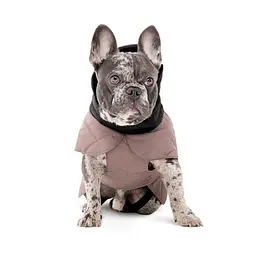 Попона Pet Fashion Max для собак SM - мініатюра 3