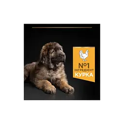 Сухий корм для собак Purina Pro Plan Dog Large Puppy Robust з куркою і рисом 12 кг (7613035120341) - мініатюра 6