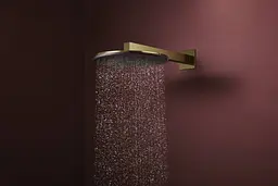 Верхній душ Hansgrohe Raindance Alive S 300 2jet EcoSmart з тримачем polished gold optic 24541990 - мініатюра 2