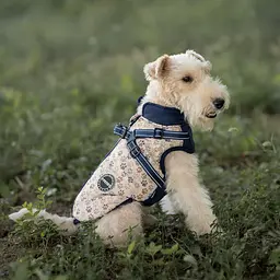 Зимова куртка для собак V.PET.B.R. Luxury Dog Jacket C519 Navy Blue - мініатюра 3