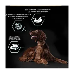 Сухий корм для собак Purina Pro Plan Large Athletic Adult 2+ Sensitive Digestion Для великих порід атлетичної статури З ягням 14 кг (7613035415591) - мініатюра 7