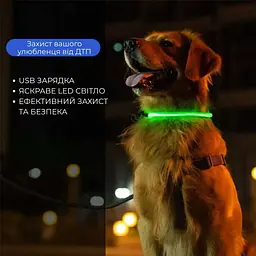 Світлодіодний LED нашийник для собак із зарядкою USB, синій - мініатюра 5