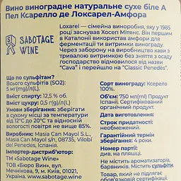 Вино Loxarel A Pel blanc Xarel-lo in Amphora біле сухе 0.75 л - мініатюра 5