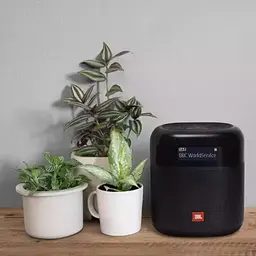 Акустична система JBL Tuner XL Black (JBLTUNERXLBLKEU) - мініатюра 7