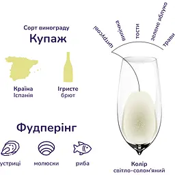Вино ігристе Jaume Serra Cava Brut, біле, брют, DO, 11,5%, 0,75 л (16045) - мініатюра 5