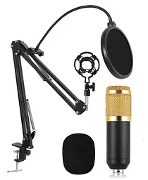 Конденсаторний студійний мікрофон RIAS M-800 Pro-MIC зі стійкою і вітрозахистом Black-Gold (4_00352) - мініатюра 2