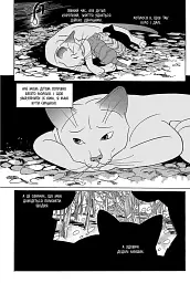Коти - вояки. Манґа 7. Тигрозір і Саша. Повернення до Кланів - мініатюра 4