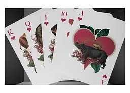 Карти гральні United States Playing Card Company Theory11 Moooi Extinct Animals (limited edition) (ВР_КИТМЕЕ) - мініатюра 4