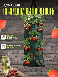 Підвісна вертикальна грядка на 10 кишень (3 шт.) - мініатюра 4