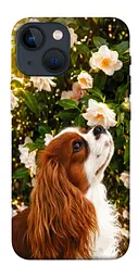 TPU чохол Demsky Flower spaniel для Apple iPhone 13 mini (5.4")