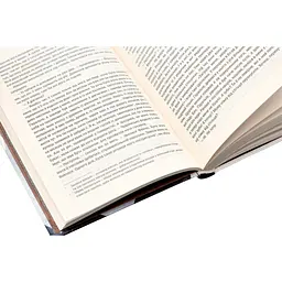 Книга Відьмак. Останнє бажання. Книга 1 - Анджей Сапковський КСД (9786171519169) - мініатюра 6