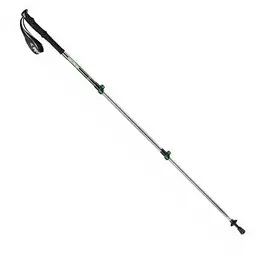 Трекінгова палиця телескопічна Naturehike Men ST 01 (NH17D001-Z) зелена