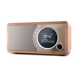 Радіоприймач Sharp DR-450 Brown