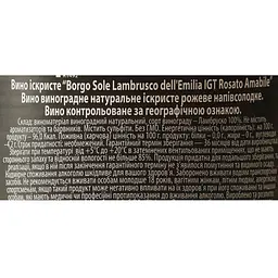 Вино ігристе Borgo Sole Lambrusco Dell`Emilia IGT Sweet Rosé, 8%, 0,75 л (AT1B003) - мініатюра 6