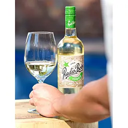 Вино Radio Boka Verdejo біле сухе 13% 0.75 л - мініатюра 3