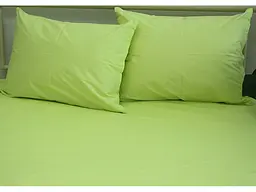 Простирадло на гумці + наволочки Sunny Lime TAG tekstil 160х200х20 см pbe0040927 - мініатюра 3