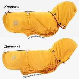Вітровка для такс Hat-Dog куркума (XL-Long/Хлопчик) - мініатюра 3