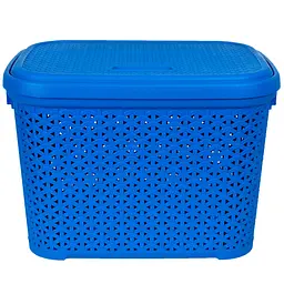 Кошик Diomedea з кришкою 44.5x33.6x31 см 30 л блакитний (К14-439)  - мініатюра 2