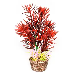 Штучна рослина Hobby Flora Stone 2 13 см (51531)