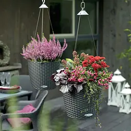 Вазон Lechuza Cottage Nido 27 антрацит (15193) - мініатюра 5