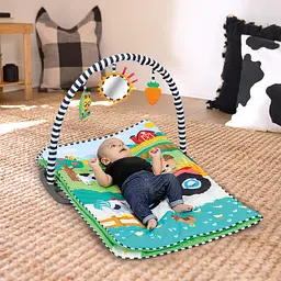Розвиваючий килимок Baby Einstein 4 в 1 Busy Barnyard (17327) - мініатюра 3