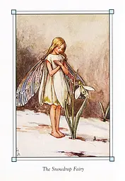 Flower Fairies of the Winter - мініатюра 4