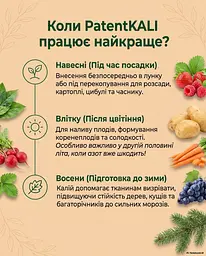 Природне калійно-магнієве гранульоване добриво Patent KALI (Патент Калій) 1 кг - мініатюра 7
