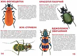 Велика книга Кристал Бук Жуки (F00018115) - мініатюра 3