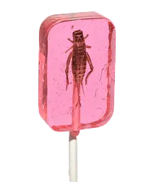 Льодяник із комахою Hotlix Assorted Cricket Sucker 1шт, 28г - мініатюра 6