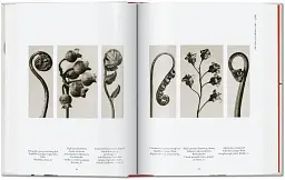 Karl Blossfeldt. The Complete Published Work. 40th Edition - мініатюра 4